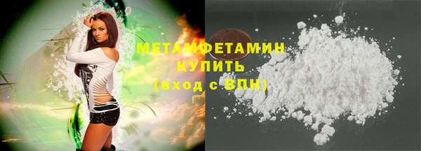 прущие грибы Гусев
