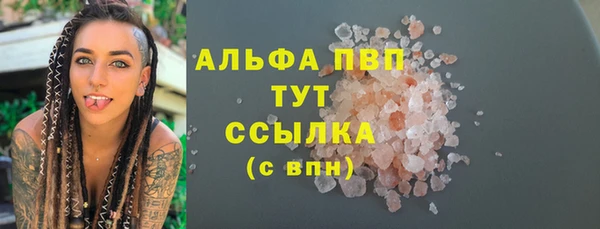 прущие грибы Гусев