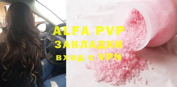 прущие грибы Гусев