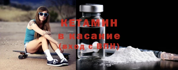 прущие грибы Гусев