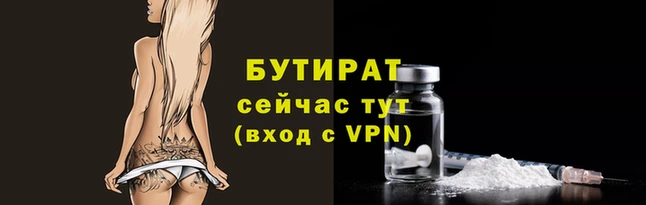 прущие грибы Гусев