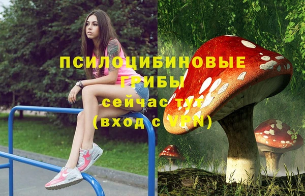 прущие грибы Гусев