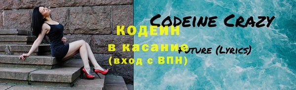 прущие грибы Гусев
