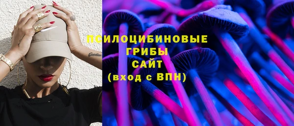 твердый Гусиноозёрск