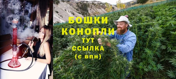 прущие грибы Гусев