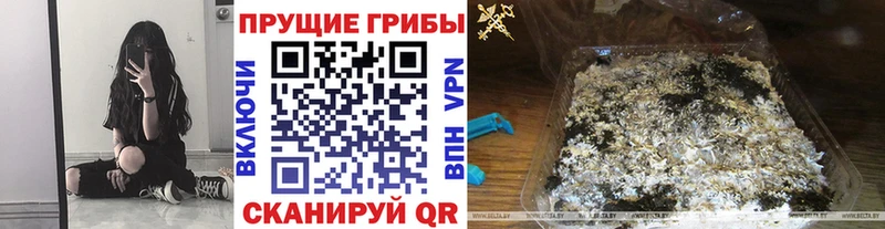 где можно купить   Ува  ссылка на мегу рабочий сайт  Галлюциногенные грибы прущие грибы 